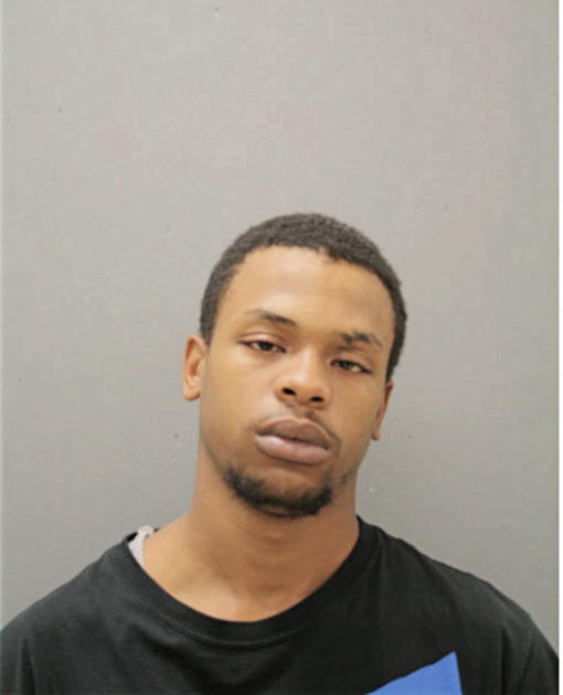 AARON L TATE, Cook County, Illinois