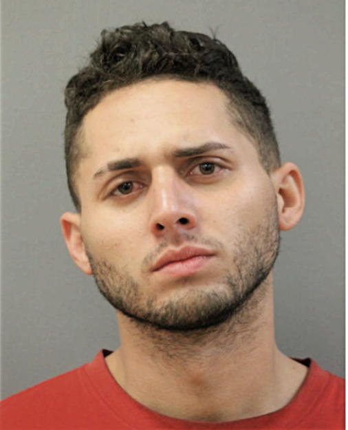 YERIEL VEGA, Cook County, Illinois