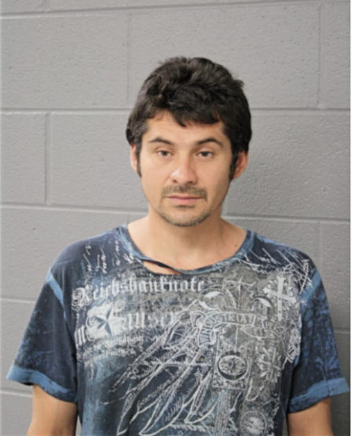 LUIS ALTAMIRANO-RAMIREZ, Cook County, Illinois