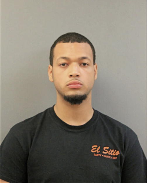 JOSHUA A ALVARADO, Cook County, Illinois