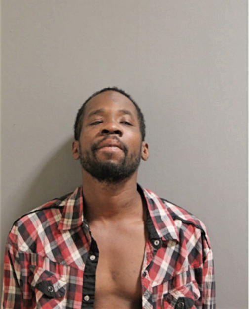 ERIC L ANDERSON, Cook County, Illinois