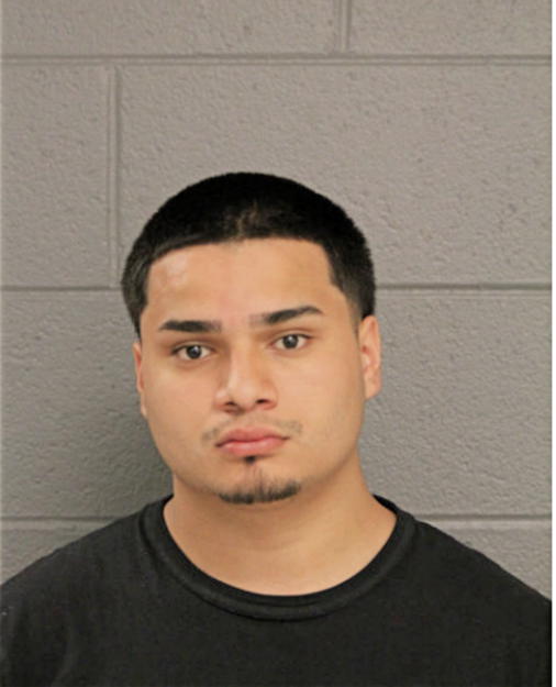 LUIS A CASTELLANOS, Cook County, Illinois