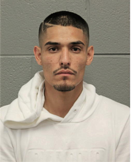 EDSON CASTILLO, Cook County, Illinois