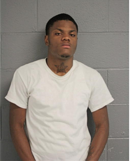 DAVID P DAVIS, Cook County, Illinois