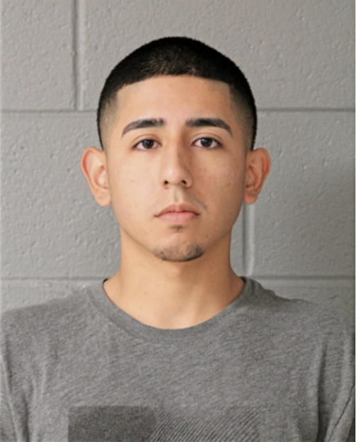 PHILIP C DELAMORA, Cook County, Illinois