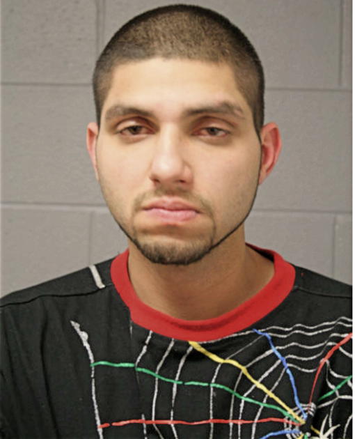 AMIR Z DIXON, Cook County, Illinois