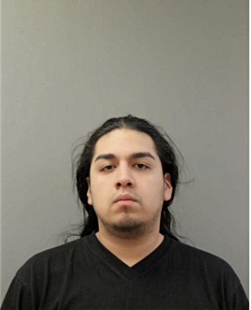 ERASMO GONZALEZ, Cook County, Illinois