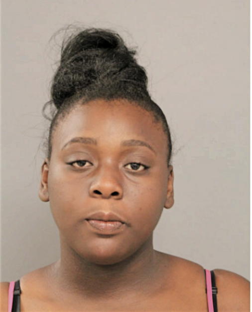 PATRICIA R HUDSON, Cook County, Illinois