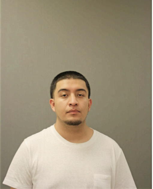 JOSE DE JESUS FONSECA-ALVAREZ, Cook County, Illinois