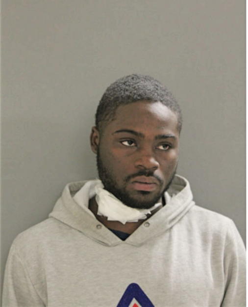 CHARLES E JOHNSON, Cook County, Illinois