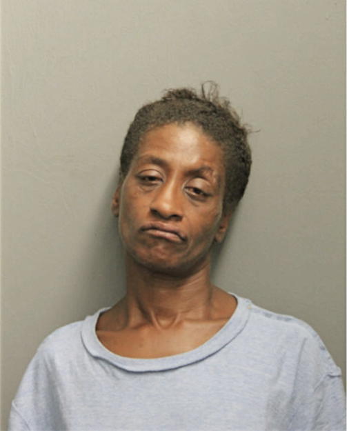 NINA E JOHNSON, Cook County, Illinois