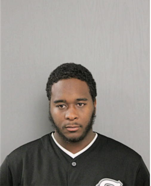 DON DIAGO L BROWN, Cook County, Illinois