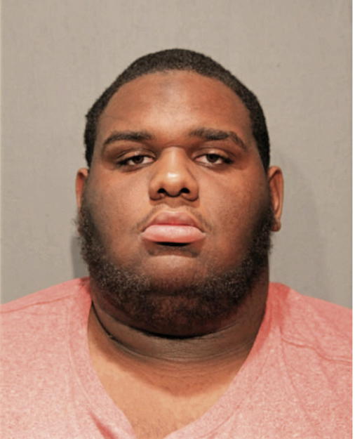 DAVID P LAZARD, Cook County, Illinois