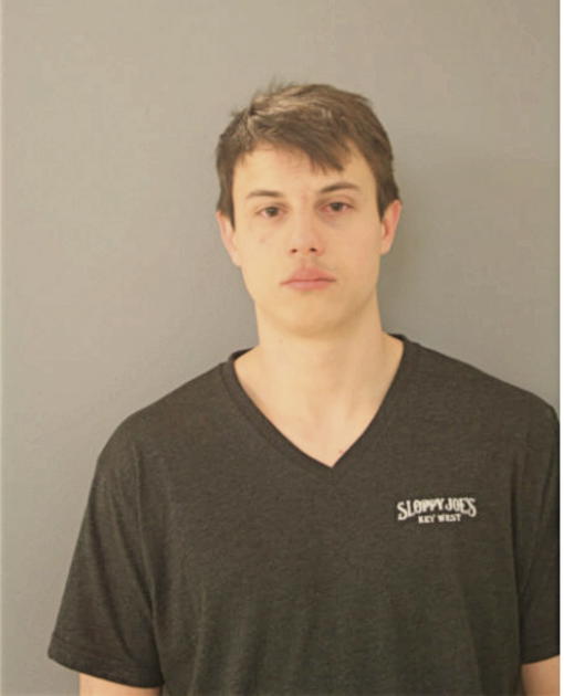 ANTHONY J LOSS, Cook County, Illinois