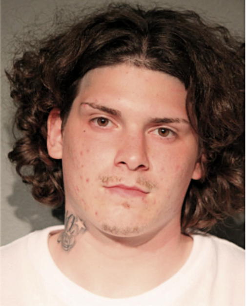 MICHAEL J LUMINO, Cook County, Illinois