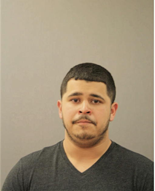 ERICK J MORALES, Cook County, Illinois