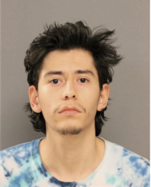 MICHAEL A MUNOZ, Cook County, Illinois