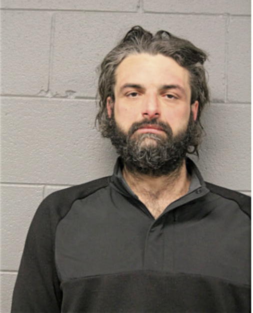 SLAVKO NISAVIC, Cook County, Illinois
