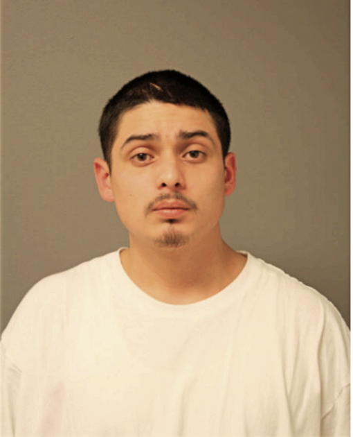JOSE G PATINO, Cook County, Illinois