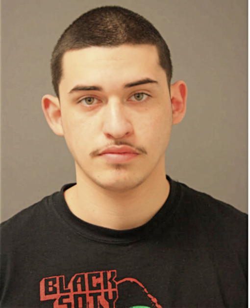 LUDYN I PEREZ, Cook County, Illinois