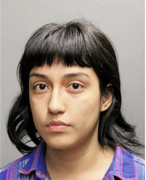 DENISSE A RAMIREZ, Cook County, Illinois
