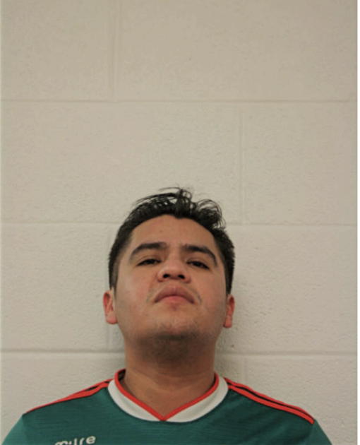 JORGE ROMAN, Cook County, Illinois