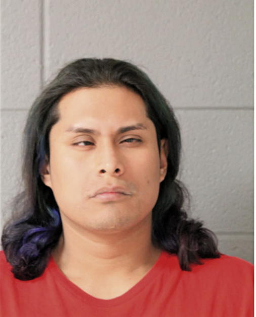 VICTOR SANDOVAL, Cook County, Illinois
