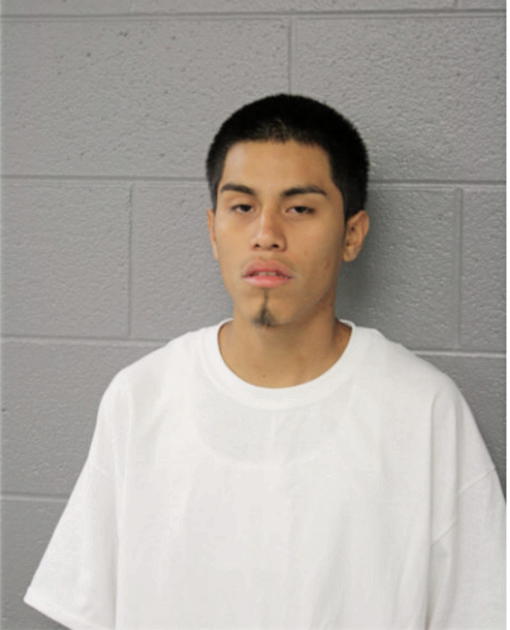 NOEL ANDRADE-GARCIA, Cook County, Illinois
