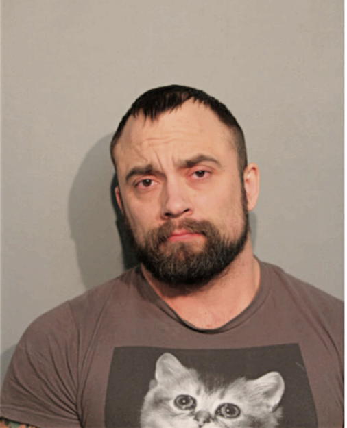JOSEPH W BERG, Cook County, Illinois