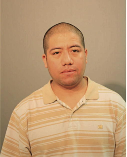 FERNANDO CASTRO, Cook County, Illinois