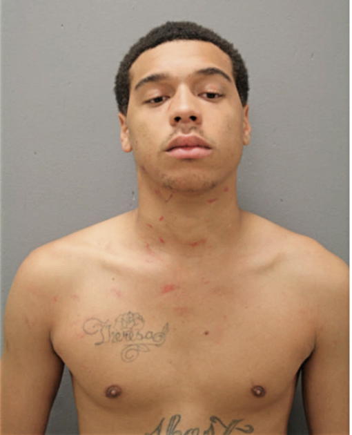 VERNON T CHARLESTON, Cook County, Illinois