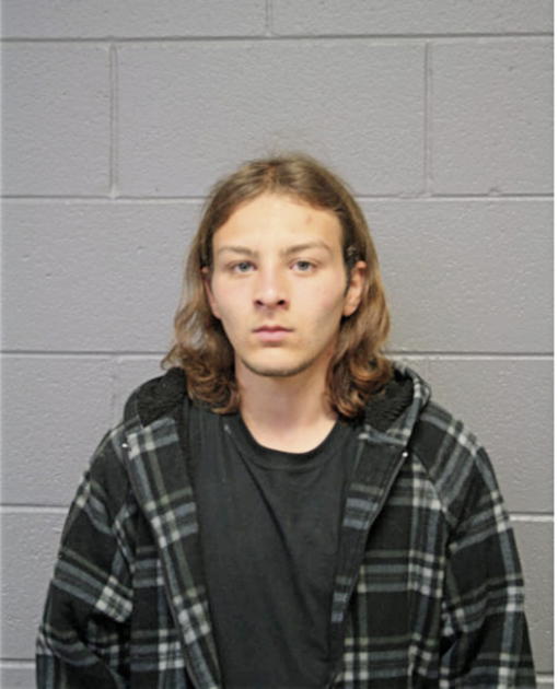 SHAWN M DODD, Cook County, Illinois