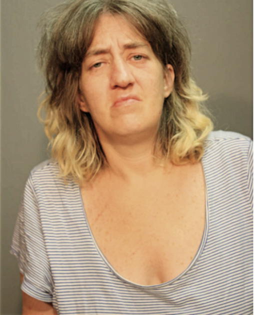 LESLIE A FILIPOWSKI, Cook County, Illinois