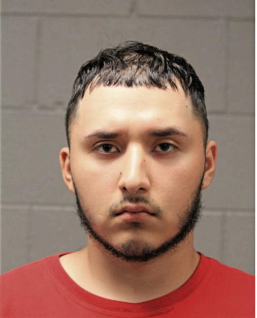 ALEXIS FLORES, Cook County, Illinois