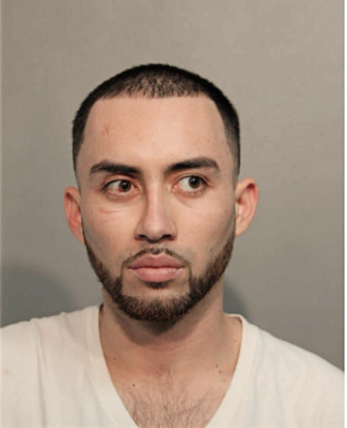 TONY FLORES-GONZALEZ, Cook County, Illinois