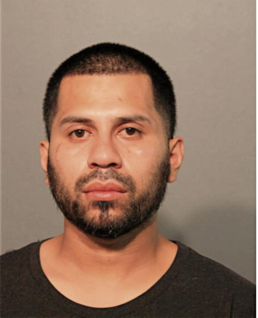 ORLANDO FLORES, Cook County, Illinois