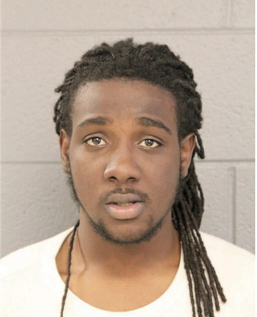 BRIAN A FULLER, Cook County, Illinois