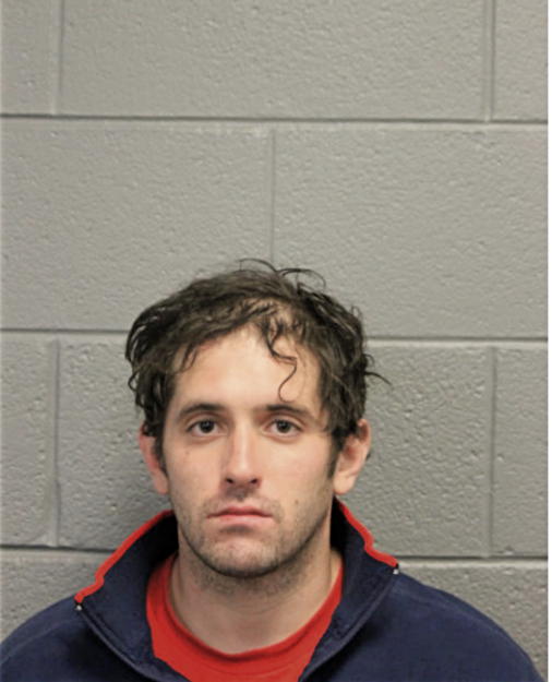MICHAEL E HERMANOWSKI, Cook County, Illinois