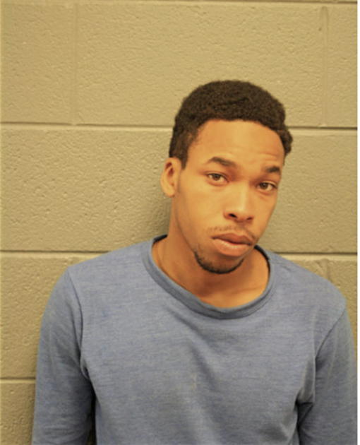 MICHAEL T HODGES, Cook County, Illinois