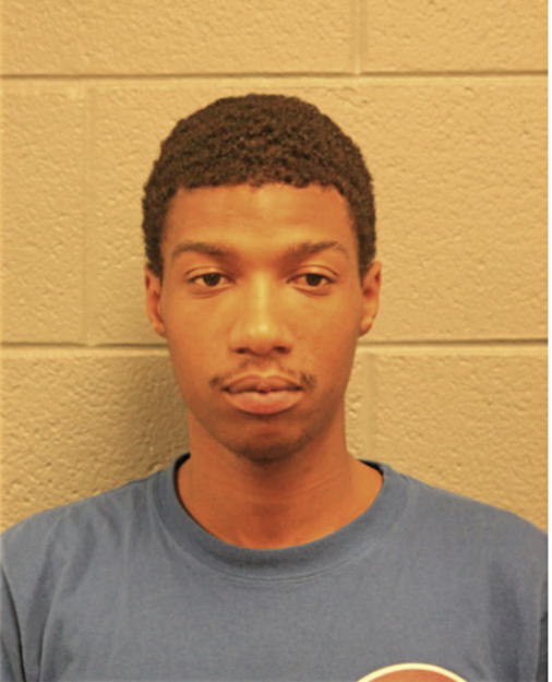 ROBERT T HUNT, Cook County, Illinois