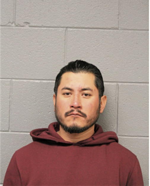 GABRIEL DE JESUS, Cook County, Illinois
