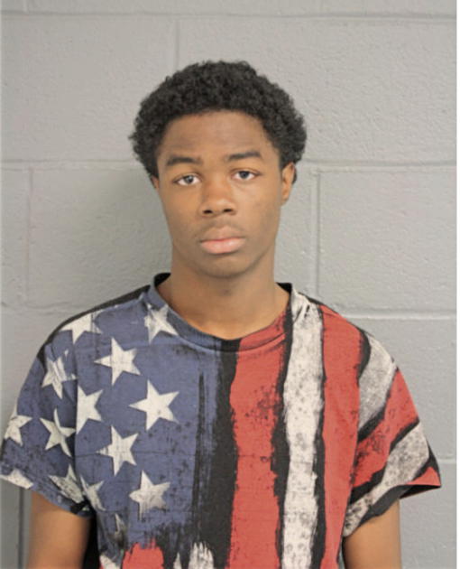 TYRONE J JOHNSON, Cook County, Illinois