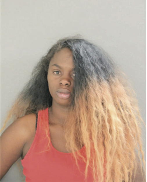 DESTINY L GREYER, Cook County, Illinois