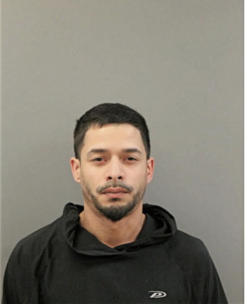 DAVID M MIRANDA, Cook County, Illinois