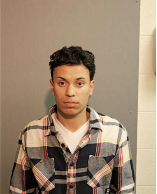 LUIS NUNEZ, Cook County, Illinois