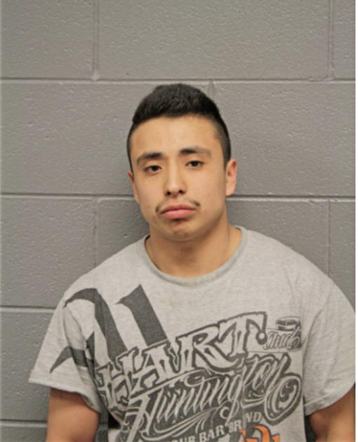 CESAR PATINO, Cook County, Illinois