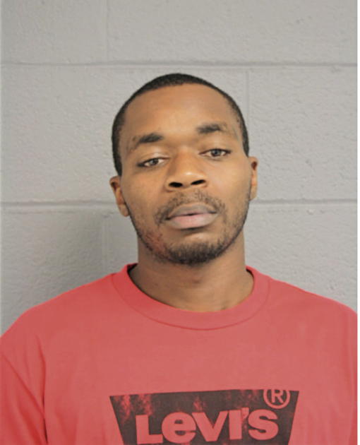 BRYAN T PINSON, Cook County, Illinois