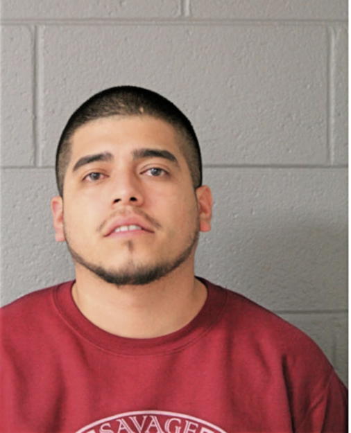 SAMMEL A SALAZAR, Cook County, Illinois