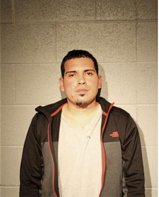 JERICK J VARGAS, Cook County, Illinois