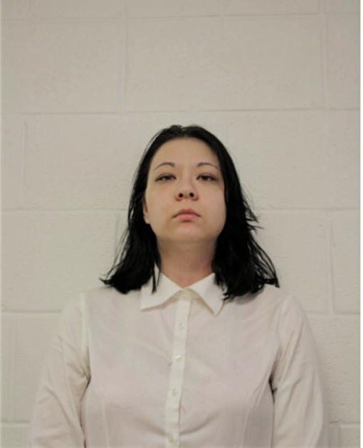 ANGELA A WODNICKI, Cook County, Illinois